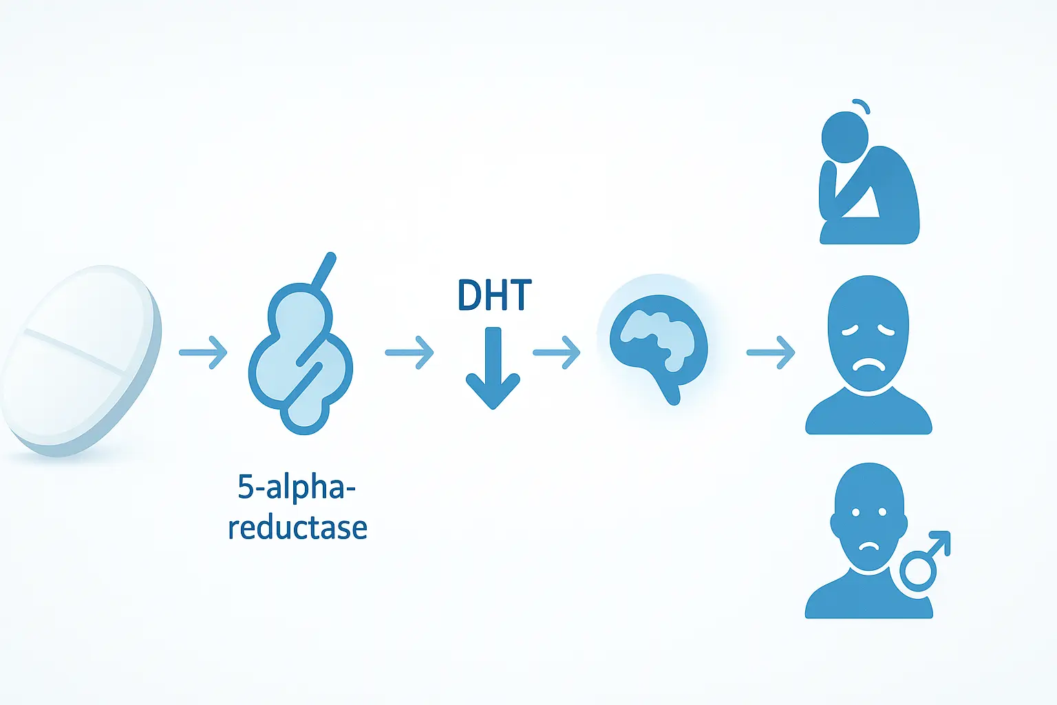 Illustration showing how Finasteride blocks 5-alpha-reductase and lowers DHT levels, which may lead to Post-Finasteride Syndrome (PFS)