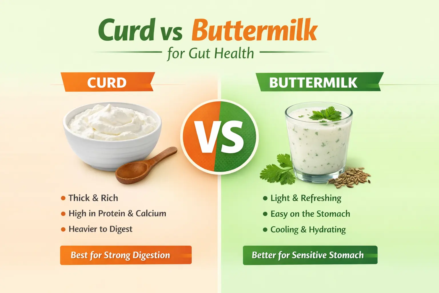 Infographic comparing curd and buttermilk for gut health: curd is thick, rich in protein, heavier to digest; buttermilk is light, easy on the stomach, cooling and hydrating, better for sensitive digestion.